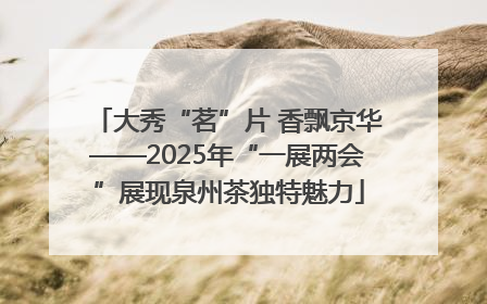 大秀“茗”片 香飘京华——2025年“一展两会”展现泉州茶独特魅力