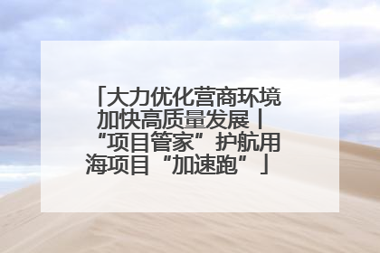 大力优化营商环境 加快高质量发展丨“项目管家”护航用海项目“加速跑”