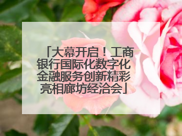 大幕开启!工商银行国际化数字化金融服务创新精彩亮相廊坊经洽会