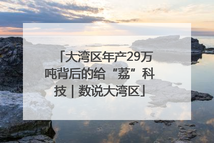 大湾区年产29万吨背后的给“荔”科技｜数说大湾区