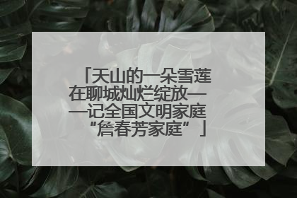 天山的一朵雪莲在聊城灿烂绽放——记全国文明家庭“詹春芳家庭”