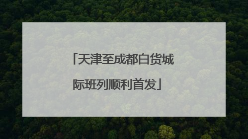 天津至成都白货城际班列顺利首发