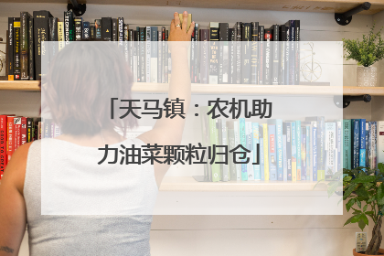 天马镇：农机助力油菜颗粒归仓