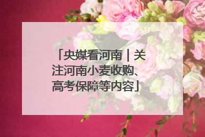 央媒看河南｜关注河南小麦收购、高考保障等内容