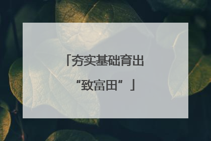 夯实基础育出“致富田”