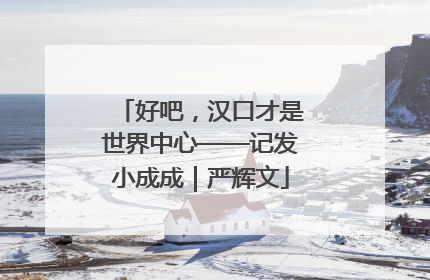 好吧，汉口才是世界中心——记发小成成｜严辉文