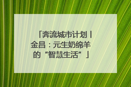 奔流城市计划丨金昌：元生奶绵羊的“智慧生活”