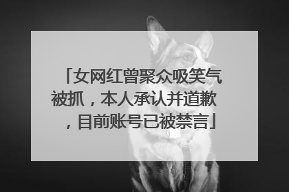 女网红曾聚众吸笑气被抓，本人承认并道歉，目前账号已被禁言
