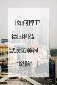 如何捍卫德国利益 默茨访美很“烧脑”
