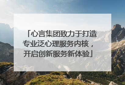 心言集团致力于打造专业泛心理服务内核，开启创新服务新体验