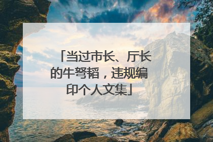 当过市长、厅长的牛弩韬，违规编印个人文集