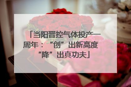 当阳晋控气体投产一周年：“创”出新高度 “降”出真功夫