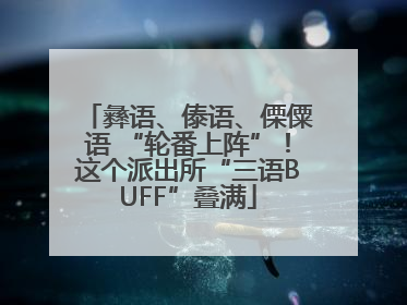 彝语、傣语、傈僳语 “轮番上阵”！这个派出所“三语BUFF”叠满