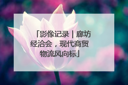 影像记录|廊坊经洽会,现代商贸物流风向标