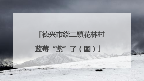 德兴市绕二镇花林村蓝莓“紫”了（图）