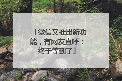微信又推出新功能，有网友直呼：终于等到了