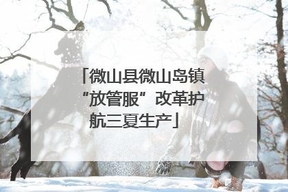 微山县微山岛镇“放管服”改革护航三夏生产