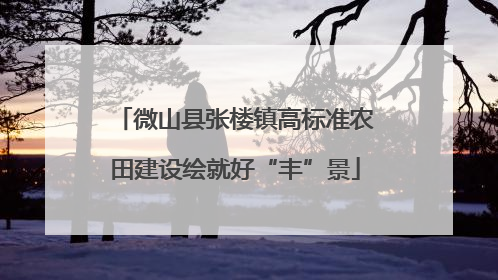 微山县张楼镇高标准农田建设绘就好“丰”景
