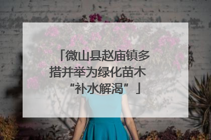 微山县赵庙镇多措并举为绿化苗木“补水解渴”
