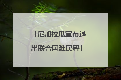 尼加拉瓜宣布退出联合国难民署