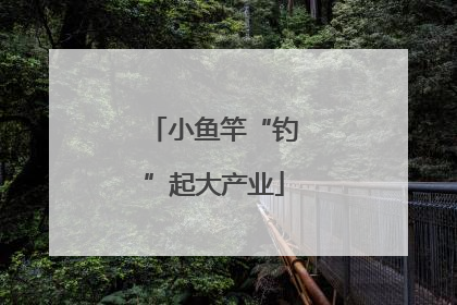 小鱼竿“钓”起大产业