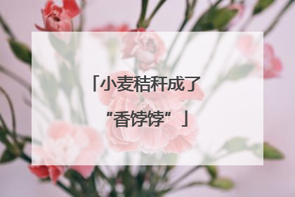 小麦秸秆成了“香饽饽”