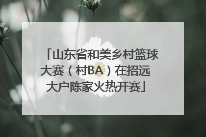 山东省和美乡村篮球大赛（村BA）在招远大户陈家火热开赛