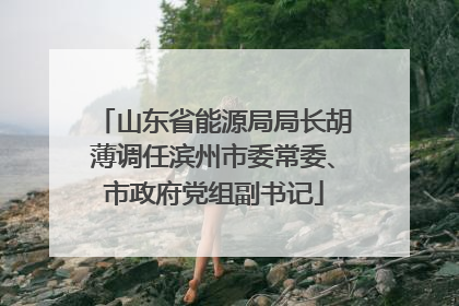 山东省能源局局长胡薄调任滨州市委常委、市政府党组副书记