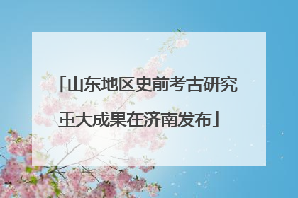 山东地区史前考古研究重大成果在济南发布