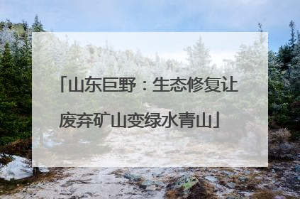 山东巨野：生态修复让废弃矿山变绿水青山