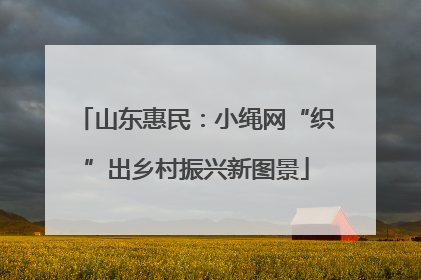 山东惠民：小绳网“织”出乡村振兴新图景