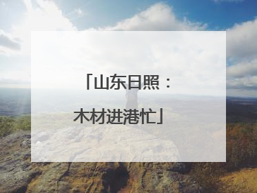 山东日照：木材进港忙
