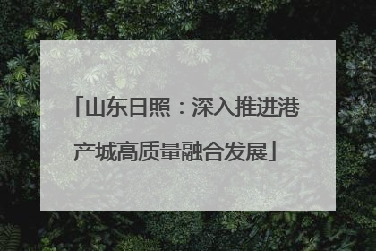 山东日照：深入推进港产城高质量融合发展