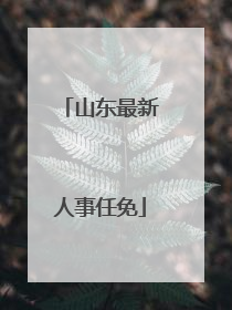 山东最新人事任免