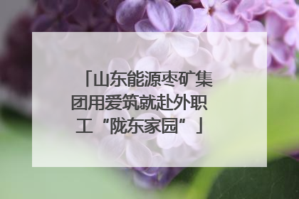 山东能源枣矿集团用爱筑就赴外职工“陇东家园”