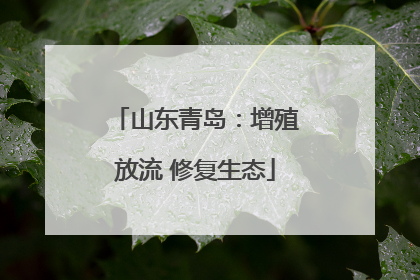 山东青岛：增殖放流 修复生态