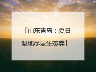 山东青岛：夏日湿地尽显生态美
