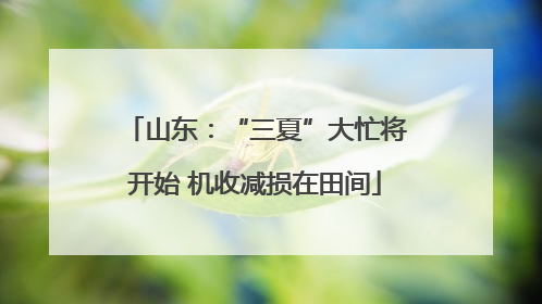 山东：“三夏”大忙将开始 机收减损在田间