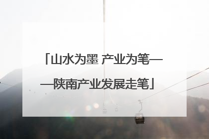 山水为墨 产业为笔——陕南产业发展走笔