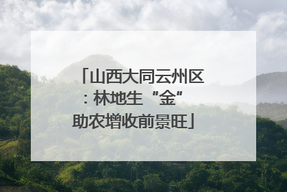 山西大同云州区：林地生“金” 助农增收前景旺
