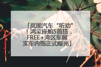 岚图汽车“听劝”！鸿蒙座舱5首搭，FREE+湾区车展实车内饰正式曝光