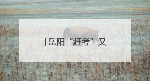 岳阳“赶考”又“赶烤”，一纸准考证享全城礼遇