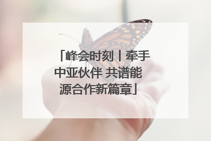 峰会时刻丨牵手中亚伙伴 共谱能源合作新篇章