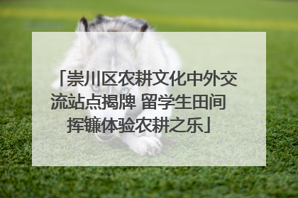 崇川区农耕文化中外交流站点揭牌 留学生田间挥镰体验农耕之乐