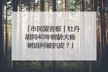 市民留言板｜牡丹胡同40年树龄大杨树因何被扒皮？