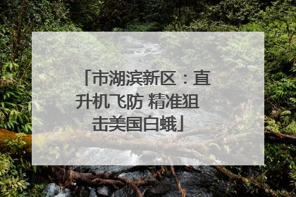 市湖滨新区：直升机飞防 精准狙击美国白蛾