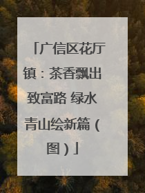 广信区花厅镇：茶香飘出致富路 绿水青山绘新篇（图）