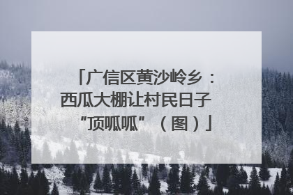 广信区黄沙岭乡：西瓜大棚让村民日子“顶呱呱”（图）