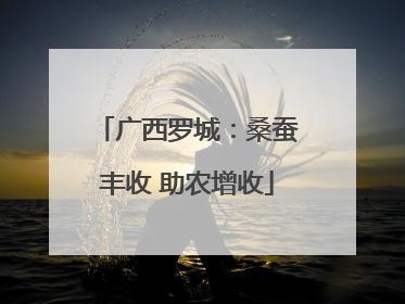 广西罗城：桑蚕丰收 助农增收