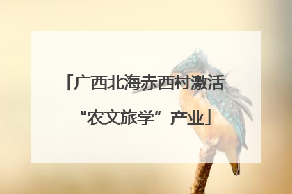 广西北海赤西村激活“农文旅学”产业